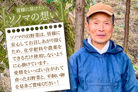 A-792 新鮮！季節のお野菜と平飼い卵のセット（8～10品）