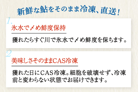 A-258 高津川天然鮎『CAS冷凍』3尾/袋×2（300g）