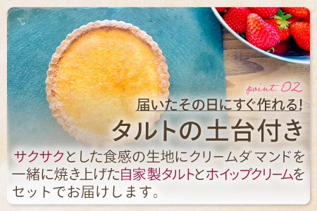 A-614 お家で作る いちごタルトキット 15cm（TARTE AUX FRAISES）