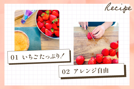 A-614 お家で作る いちごタルトキット 15cm（TARTE AUX FRAISES）