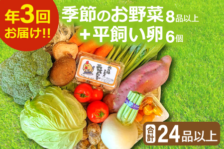 B-810 【3回定期便】季節のお野菜と平飼い卵のセット (8～10品)