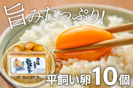 C-811 【3回定期便】季節のお野菜と平飼い卵のセット (10～12品)