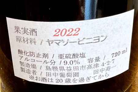 A-852 ドメーヌワイン 「ヤマソービニヨン」 (赤ワイン）720ml【赤ワイン ヤマソービニヨン 720ml 9.0% 1本 お酒 ワイン ドメーヌワイン 赤 果物 フルーツ 山ぶどう ぶどう ブドウ 葡萄 自園自醸 ディナー 贈答 ギフト】