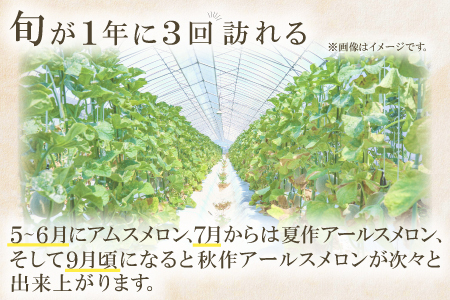B-929 益田産アールスメロン 秋作 3～5玉