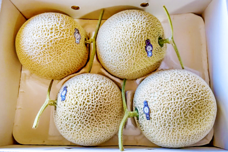 B-929 益田産アールスメロン 秋作 3～5玉