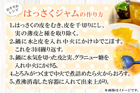 A-859 有機肥料使用「こだわりの八朔」