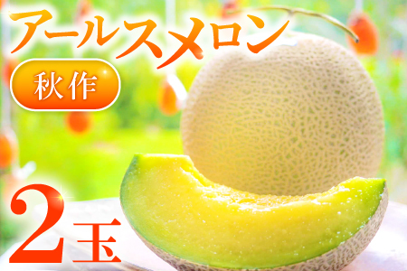 A-928 益田産アールスメロン 秋作 2玉
