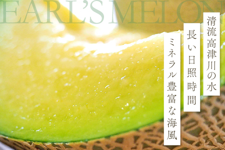 A-928 益田産アールスメロン 秋作 2玉