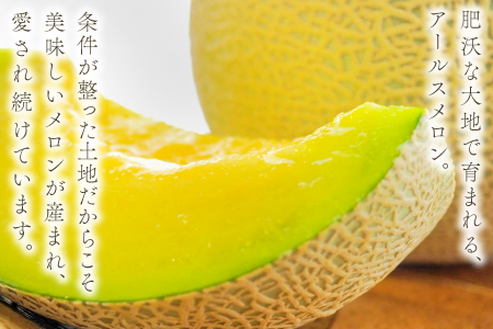 A-928 益田産アールスメロン 秋作 2玉