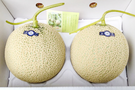 A-928 益田産アールスメロン 秋作 2玉