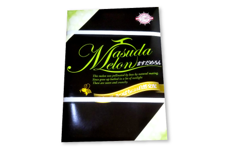 C-528【先行予約】特選アムスメロン 5kg（4～5玉）糖度16度以上【特選 アムスメロン 5kg 4～5玉 糖度 16度以上 高糖度 季節限定 期間限定 果物 フルーツ お土産 プレゼント 贈り物 贈答 ギフト ご褒美 贅沢 メロン】