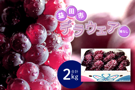 B-545 【先行予約】今が旬！デラウエア 2kg【ぶどう デラウェア 先行予約 期間限定 季節限定 早期予約 果物 くだもの フルーツ 葡萄 ブドウ】
