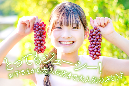 A-408 椋さんのこだわり デラウェア 1kg【デラウェア 先行予約 デラウエア 先行 果物 くだもの フルーツ ブドウ ぶどう 葡萄 期間限定 季節限定 早期予約 糖度18度以上 種なし】