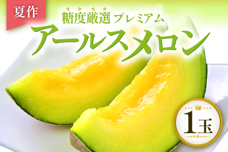 A-762 【先行予約】［夏作］糖度厳選プレミアム アールスメロン 1玉【メロン 先行予約 青肉 めろん 早期予約 期間限定 季節限定 果物 くだもの フルーツ アールスメロン 1玉 夏作 糖度16度以上 7月～8月発送】