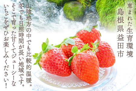 A-1064 朝採れ　いちご 1.4kg（350g×4パック）【先行予約 いちご 果物 フルーツ 苺 イチゴ 1.4kg 350g 4パック 朝採れ 新鮮 ジューシー 冷蔵 期間限定 季節限定 早期予約】