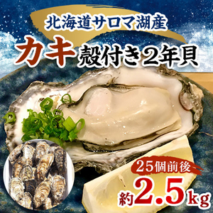 【先行受付】カキ殻付き2年貝約2.5kg(25個前後)【配送不可地域：離島・沖縄県・信越、北陸・東海・近畿・中国・四国・九州】【1470070】