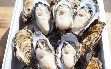 【先行予約】【10月中旬から順次発送】カキ 殻付き 2年貝 約2.5kg(25個前後) 佐呂間産 SRMA002