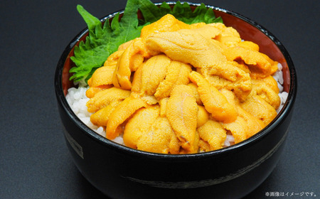 【先行予約】サロマ湖産 無添加 バフンウニ 400g(100g×4)海水パック(2026年4月以降順次発送予定) SRMA023