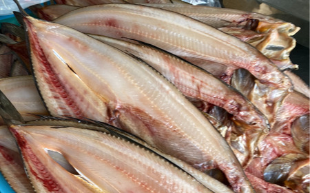 ほっけの開き 10枚（200～300g前後） オホーツク産 真ほっけ SRMA026