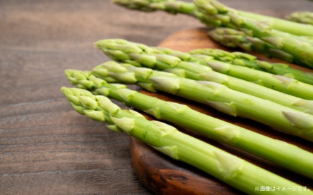 【夏採り】 グリーンアスパラ 1kg(L~3L)旬の採れたて 北海道 佐呂間産 (2026年7月出荷開始先行予約) SRMM016