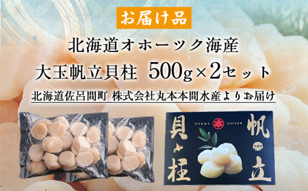 北海道オホーツク海産 大玉帆立貝柱 500g×2セット SRMR002 | 帆立