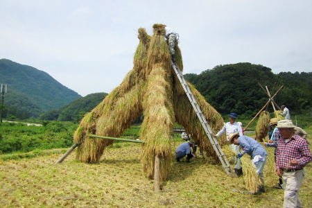 開春「西田（生もと純米）」＆開春生もと純米大吟醸セット【日本酒 2本 セット 飲み比べ 純米酒 開春 西田 生もと純米 生もと純米大吟醸 大吟醸 冷や 燗 熱燗 お酒 酒 父の日】