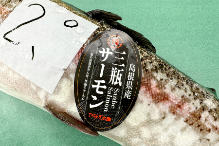 さんべサーモン 400g【サーモン 400g フィレ サーモントラウト ニジマス サーモン さけ シャケ しゃけ sake 生食用 刺身 お刺身 刺し身 魚介類 海鮮 冷凍 真空パック】