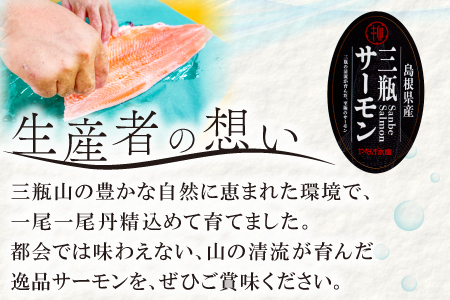 【訳あり】さんべサーモン切り落し 300g【サーモン 300g 切り落し サーモントラウト ニジマス サーモン さけ シャケ しゃけ sake 生食用 刺身 お刺身 刺し身 魚介類 海鮮 冷凍】