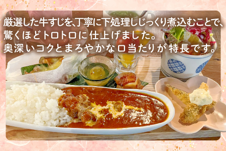 牛すじトロトロハヤシ 2個セット【ハヤシライス 2個 1食 200g レトルト食品 レトルトハヤシ レトルト 長期保存 すじ肉 牛肉 詰め合わせ セット 備蓄用 災害備蓄 島根県 大田市】
