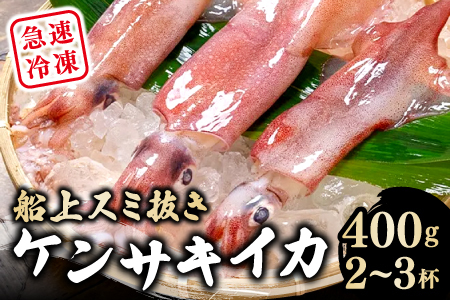 船上スミ抜きケンサキイカ 400g（2～3杯）【いか 剣先いか 400g 烏賊 イカ ケンサキイカ 贅沢 刺身 おかず おつまみ お酒 冷凍 地物 天然物 新鮮 真空パック 旨い 海産物 魚介類 獲れたて】