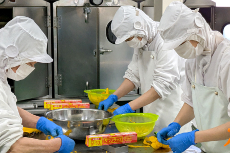 ミニチーズケーキ10個セット【チーズケーキ プレーン 大人のチーズケーキ スイーツ デザート 酒の肴 蒲鉾 かまぼこ 練り物 練物 ねりもの 練リ製品 魚肉 おつまみ おやつ お土産 冷蔵 贈答 父の日 母の日】