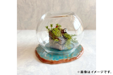 苔のしずく【 苔 こけ テラリウム 飾り インテリア お洒落 唯一無二 自然 】