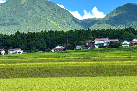 令和７年島根県産きぬむすめ10㎏（5㎏×2袋）【令和7年産 お米 きぬむすめ 10kg キヌムスメ 2025年産 米 おこめ こめ 島根県産】