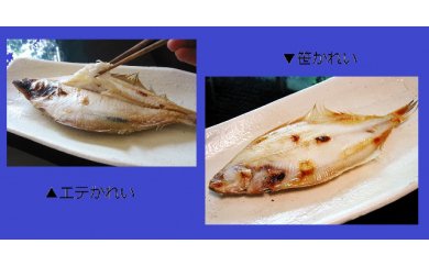 A008 おおだの定番干物!かれい食べ比べセット(5~8尾)