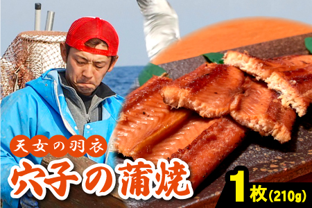 あなご 蒲焼 1枚 210g 天女の羽衣【210g 穴子蒲焼き 魚介類 魚 穴子 アナゴ 蒲焼き 仕込み醬油 タレ付き 山椒付き 新鮮 冷凍 真空パック 贈答 ギフト プレゼント 父の日 母の日】