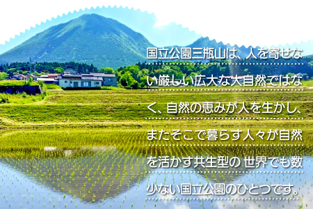 クッキー缶【クッキー 缶 洋菓子 焼菓子 焼き菓子 お菓子 おやつ てんさい糖 保存料不使用 着色料不使用 無添加 オリジナル クッキー缶 おうちカフェ 手土産 詰め合わせ ギフト 島根県 大田市】