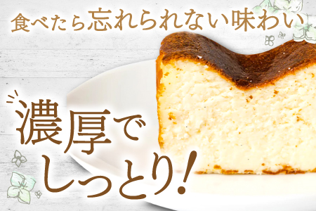天然バニラチーズケーキ ハーフサイズ 1本 10 5cm 長さ 7 5cm 幅 5 5cm 高さ 島根県産 大田市産 菓子 ケーキ チーズケーキ 天然バニラ使用 パーティ 誕生日 女子会 島根県大田市 ふるさと納税サイト ふるなび