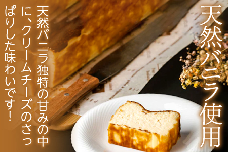 天然バニラチーズケーキ ハーフサイズ 1本 10 5cm 長さ 7 5cm 幅 5 5cm 高さ 島根県産 大田市産 菓子 ケーキ チーズケーキ 天然バニラ使用 パーティ 誕生日 女子会 島根県大田市 ふるさと納税サイト ふるなび