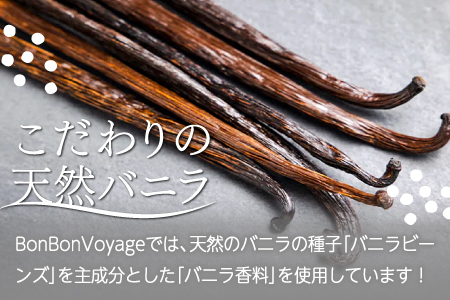 天然バニラチーズケーキ ハーフサイズ 1本 10 5cm 長さ 7 5cm 幅 5 5cm 高さ 島根県産 大田市産 菓子 ケーキ チーズケーキ 天然バニラ使用 パーティ 誕生日 女子会 島根県大田市 ふるさと納税サイト ふるなび