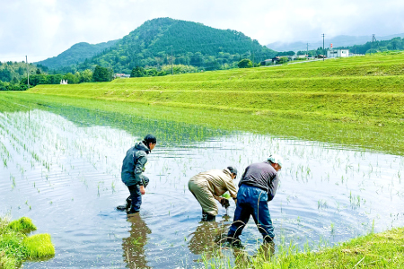 三瓶の米粉（さんべ浮布米100％）400g×8袋【米粉 コシヒカリ 400g×8袋 島根県産 大田市産 お米 米 さんべ浮布米 こしひかり グルテンフリー ヘルシー】