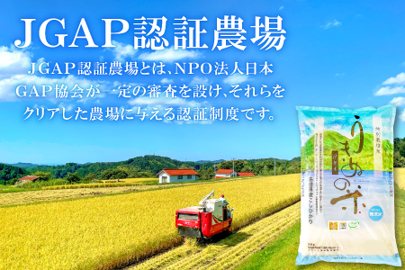 さんべ浮布米（無洗米）定期便（8kg×3回コース）【令和6年産 2024年産 定期便 3回 特別栽培米 コシヒカリ 無洗米 8kg×3回 合計24kg 島根県産 大田市産 米 減農薬】