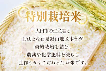 氷感熟成「つや姫」5kg【米 5kg つや姫 特別栽培米 こめ おこめ お米 島根県産 大田市産 氷感熟成 石見銀山氷感つや姫 減農薬 減化学肥料】