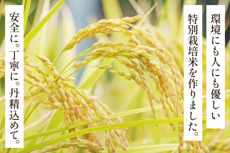 氷感熟成「つや姫」10kg【特別栽培米 つや姫 10kg 島根県産 大田市産 米 氷感熟成 石見銀山氷感つや姫 減農薬 減化学肥料】