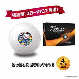 タイトリスト PROV1 4ダース - その他