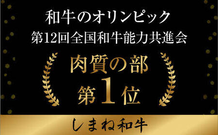 【数量限定】しまね和牛 最高級 厚切サーロインステーキ 600g（300g×2枚）／ サーロインステーキ 和牛サーロインステーキ ステーキ ブランド牛サーロインステーキ