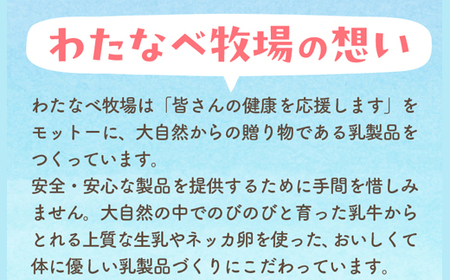 手造りプリン6個セット／ ネッカ牛乳 ネッカ卵 蒸しプリン ソース別