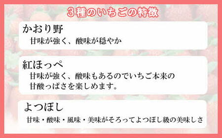早期予約 農場長厳選の美味しいいちご 400g【200g×2パック 苺 詰め合わせ 島根県 安来市産】