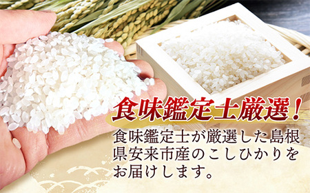 【新米 先行受付】【定期便 6か月】食味鑑定士厳選　島根こしひかり 5kg（5kg×1袋）【白米 コシヒカリ 令和7年産 先行予約 新米予約 精米 島根県 安来市】