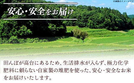 【新米 先行受付】【定期便 6か月】食味鑑定士厳選　島根こしひかり 5kg（5kg×1袋）【白米 コシヒカリ 令和7年産 先行予約 新米予約 精米 島根県 安来市】