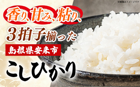 【新米 先行受付】【定期便 3か月】食味鑑定士厳選　島根こしひかり 10kg（5kg×2袋）【白米 コシヒカリ 令和7年産 先行予約 新米予約 精米 島根県 安来市】